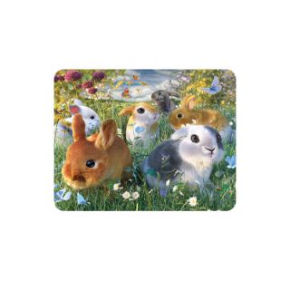 Obrázek z Magnet 3D 7x9cm - králíci (25) 